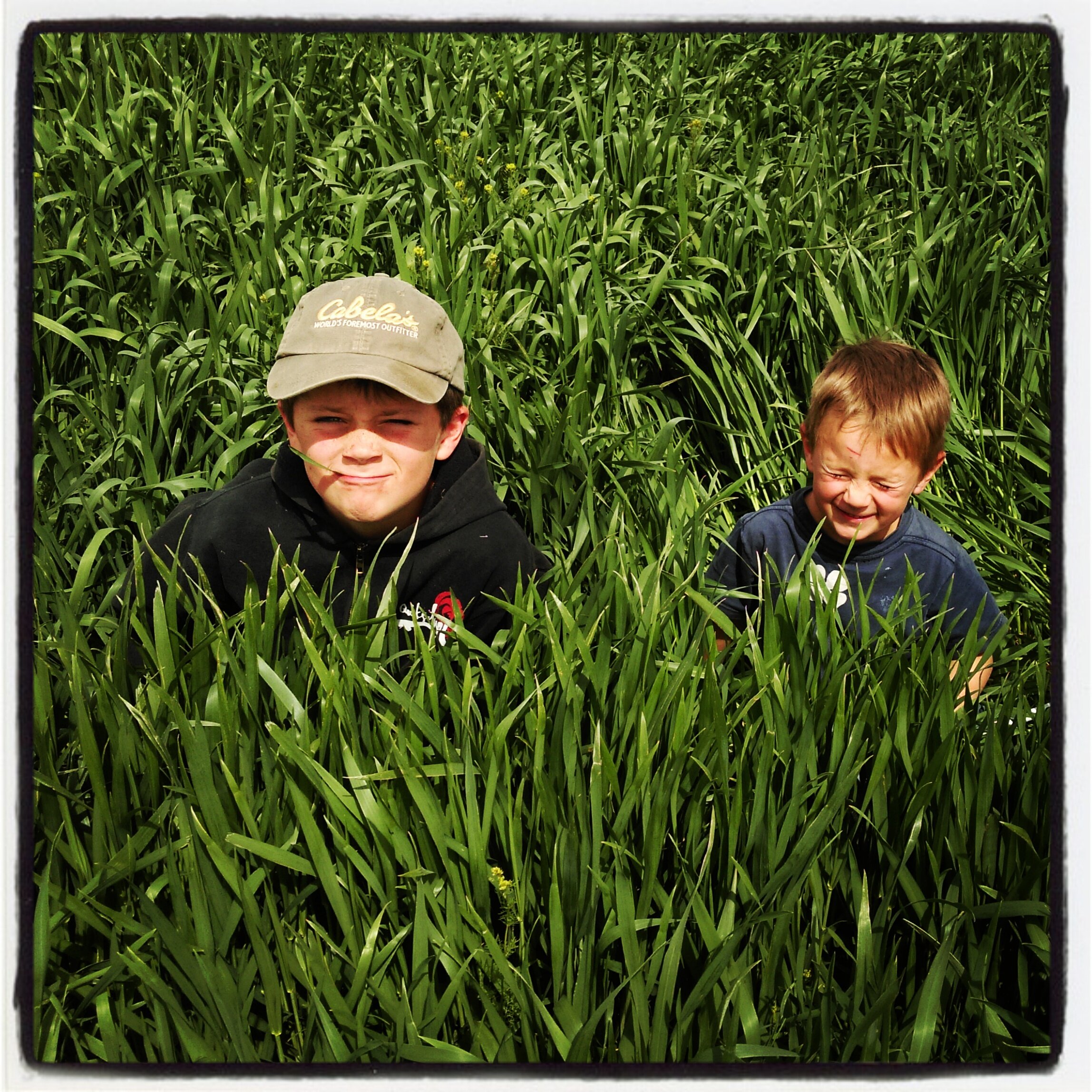 3.+Family+photo+website Two young boys playing in tall green grass, smiling and enjoying a sunny day outdoors. The older boy wears a cap and a black hoodie, while the younger boy is dressed in a blue shirt. The lush grass surrounds them, highlighting a playful and joyful moment in nature.